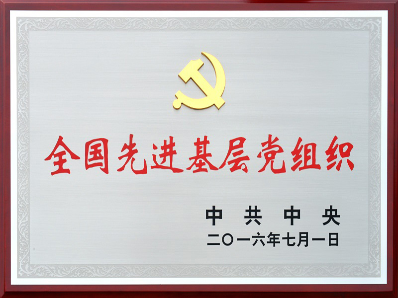 National Advanced Primary Party Organization